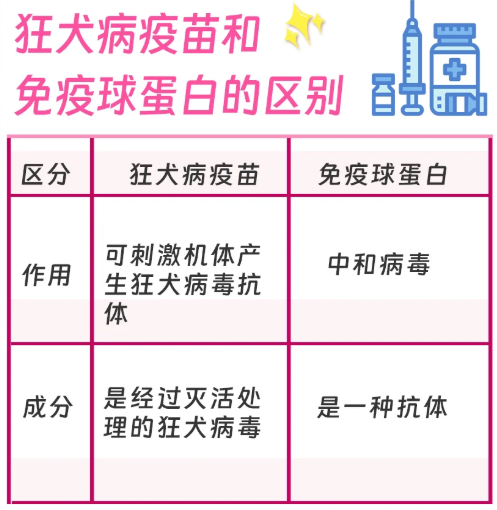 狂犬病免疫球蛋白与狂犬疫苗有什么区别