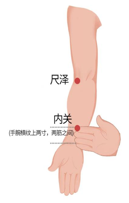 内关穴尺泽穴