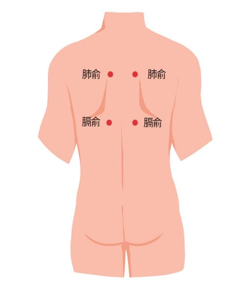 肺俞膈俞穴