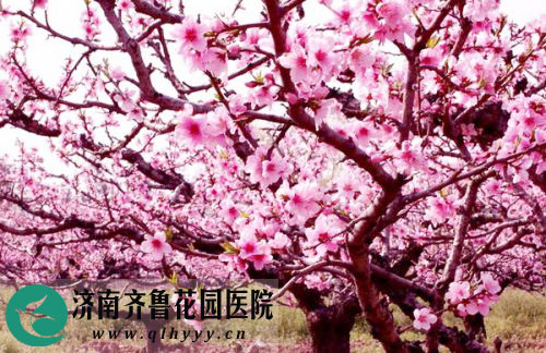 逃之夭夭 彩石镇探访桃花源