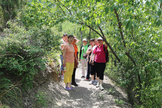 半山腰驻足小憩