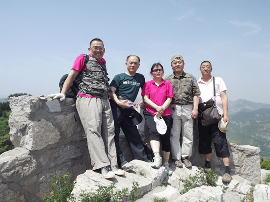 山顶绽放的活力