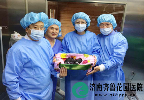 我国首例纯种藏獒在山东威海成功克隆