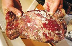 �䶳����ʮ�������˽���ڽ�ʬ�����������ȥ������