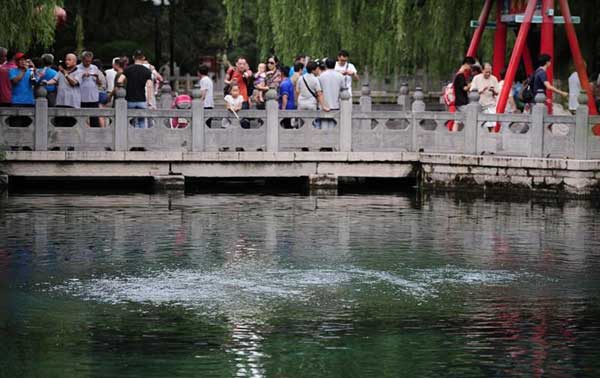 趵突泉畔的来鹤桥上看三股水喷涌明显好转