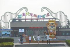 ������Ұ����������9��30�տ����ɿͽ���ʳ�� Ʊ���ݶ�160Ԫ