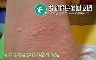 14-1512231G139416.jpg