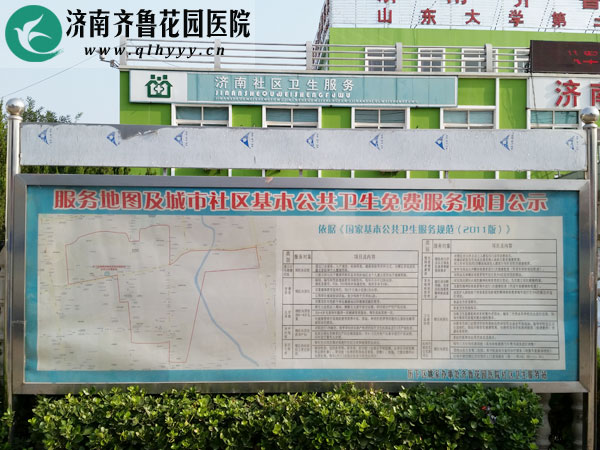 基本公共卫生服务项目宣传记录