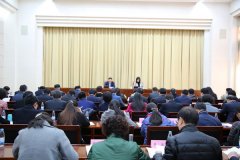 2017���������ҽҩ�����ƽ��������´����ٿ�