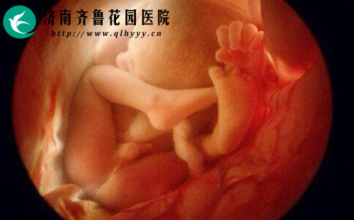 什么是生图和熟图 22-1Q10Q43J3951.jpg