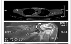 ɽѧڶҽԺɹμؼ׿ϲŹǽԹۻ