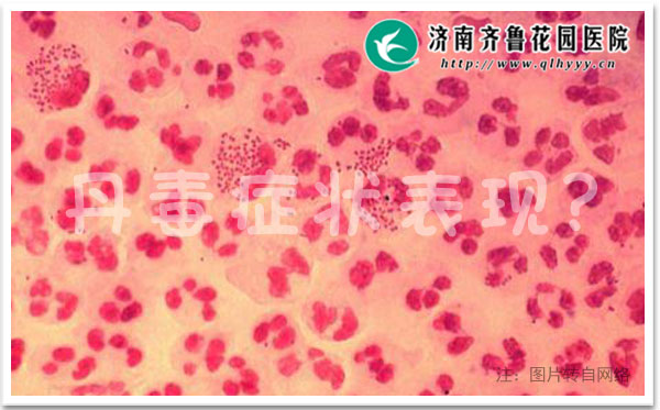 得了丹毒有什么症状 平时怎么护理_济南齐鲁花园医院