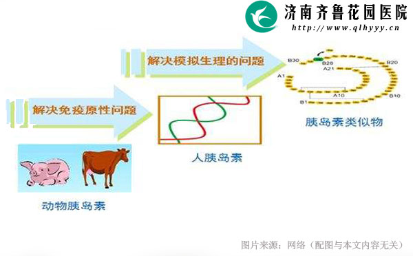 胰岛素是生物吗 20-1Z402152P5X2.jpg